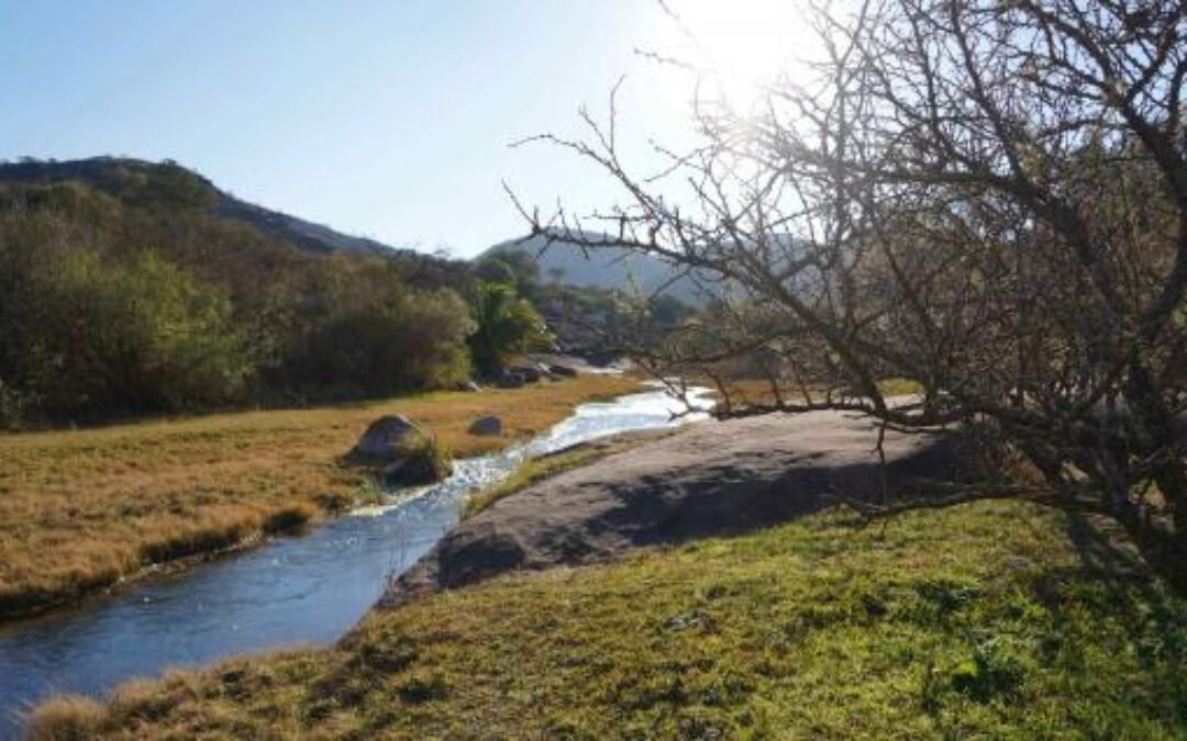 De Traslasierra a Merlo: un paseo serrano repleto de encanto natural